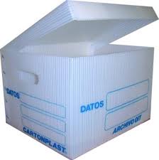 Cajas de archivo cartonplast plastico t/carta t/integrada