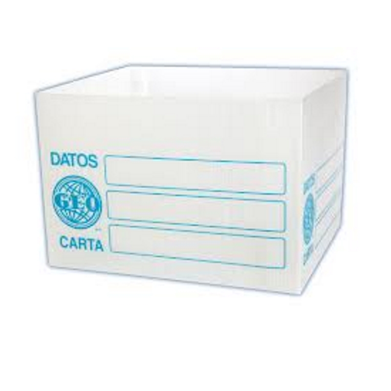 Cajas de archivo geo plastico carta