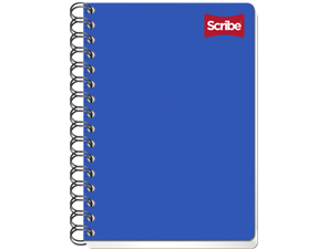 Cuadernos forma francesa scribe s1603 cuadro 7 c/100