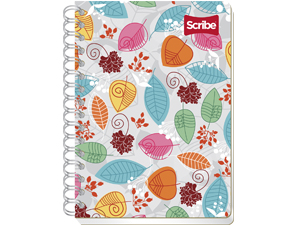 Cuadernos forma francesa scribe raya 4540 100 hjs