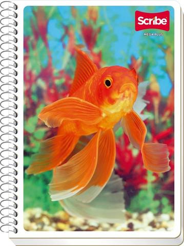 Cuadernos forma francesa scribe 7mm 4543 100 hjs